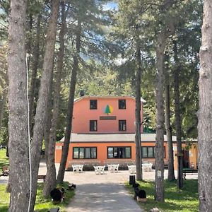 La Pinetina